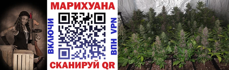 Виды наркоты Западная Двина Гашиш  Alpha PVP  Меф мяу мяу  Канабис  Кокаин 