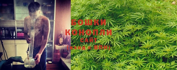 бошки Коряжма