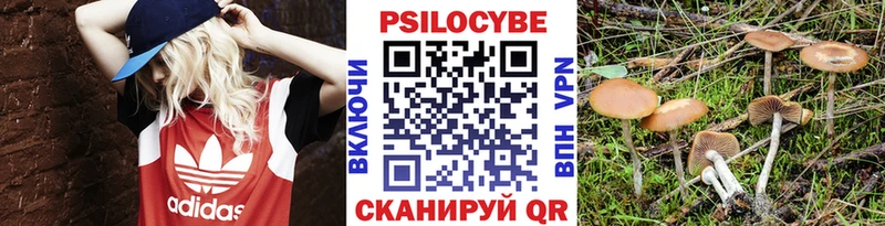 Галлюциногенные грибы Cubensis  Западная Двина 